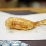 田ざわ - 緋メゴチ