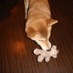 ブラックシープ - 店長が客を遊ばせてくれる姿