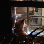 ブラックシープ - 客を待つ店長