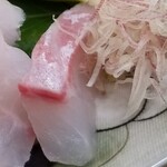 日本料理 TOBIUME - ⑫石鯛(福岡県柏原産、5日寝かせ)
      産卵期は春～夏、旬は秋～春
      身に張りがあるため5日程度寝かせるのが◯
      身のコリッ感を残しつつ旨みを引き出してあり、優等生的模範解答な出来栄え