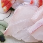 日本料理 TOBIUME - ⑭九絵(福岡県若松産、7日熟成、左側)
      産卵期は夏、旬は晩秋～春
      全数が雌で産まれ、10kgで全て雄に性転換
      こちらは背の身で熟成され旨みが引き出されています