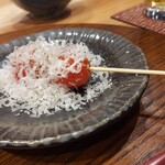 炭火焼き鳥と地酒 絢鳥 - 