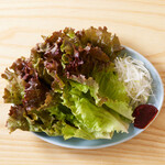 生菜Red leaf lettuce