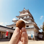 元祖阿わび屋大原老舗 - 小さなカステラ生地