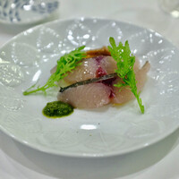 anchoa - 鰆。