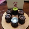 Canele Labo