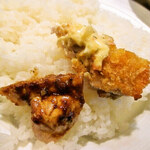 みすたーらいおん - 