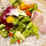 ACQUA E SOLE - お野菜たっぷりベジタリアンサラダ