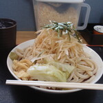 手打ちうどん ろくでなし - 富士山の様な大盛り2玉