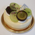 トシ・ヨロイヅカ 東京 - シュシュ