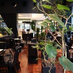 トシ・ヨロイヅカ 東京 - カフェ模様