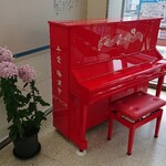 やまご食堂 - 勝浦駅駅ピアノ　今日は演奏者がいました。