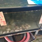 やまご食堂 - 平貝　はまぐり