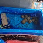 やまご食堂 - ホンビノス