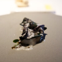 レスピラシオン - クエ