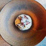 レヴォ - アオリイカ