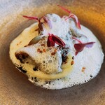 レヴォ - アオリイカ