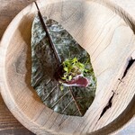 レヴォ - スッポン団子と血ソースと山菜