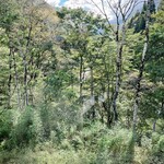 レヴォ - 窓からは大自然