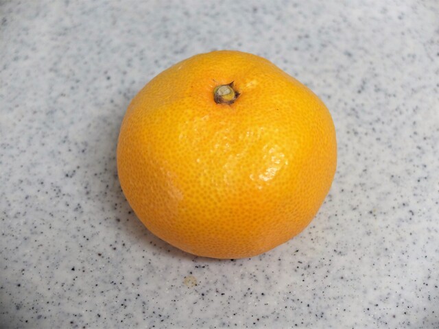 軽食喫茶コーナー フォレスト - 仙台市泉区その他（ラーメン）の写真