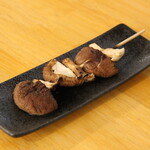 Shiitake mushroom