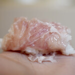 ペレグリーノ - 