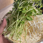 生ラムジンギスカン 世界一暇なラム肉屋 Fall in Lamb - 