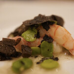 ペレグリーノ - 