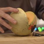 ペレグリーノ - 