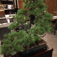 THE WASHIN by 上越やすだ - 