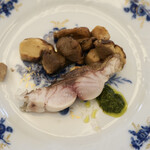 ペレグリーノ - 