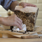 ペレグリーノ - 