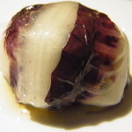 フォリオリーナ・デッラ・ポルタ・フォルトゥーナ - 