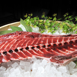 We have all types of tuna available! Drumstick Indian tuna!