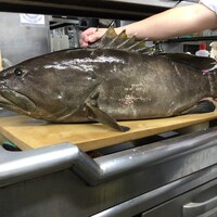 土佐料理 司 阪急グランドビル店 つかさ 梅田 懐石 会席料理 ネット予約可 食べログ