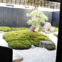 ル　ピニョン - 