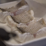 ペレグリーノ - 