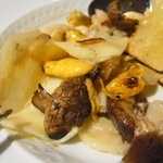 フォリオリーナ・デッラ・ポルタ・フォルトゥーナ - 