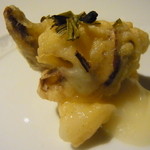 フォリオリーナ・デッラ・ポルタ・フォルトゥーナ - 