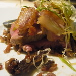 フォリオリーナ・デッラ・ポルタ・フォルトゥーナ - 