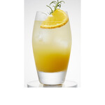 rosemary orange fizz