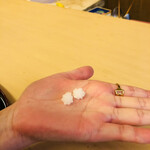 山玄茶 - 相方は生意気に2つ(ꐦ°᷄д°᷅)！