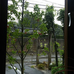 そば処 藤村 - 窓から見える藤村の看板