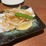 Sushi Kappou Shiro Haccha - 