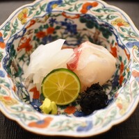 日本料理 晴山 - お造りｰアオリイカ、桜鯛ｰ