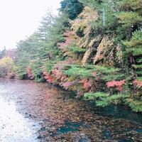 ボーセジュール - 