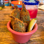 タコファナティコ - 