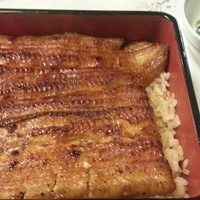 鰻割烹 伊豆栄 本店 - 