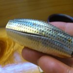 鮨 来多老 - 小鰭。リフト(^-^)/