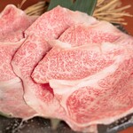 Shabu Shabu Ton Ton - 